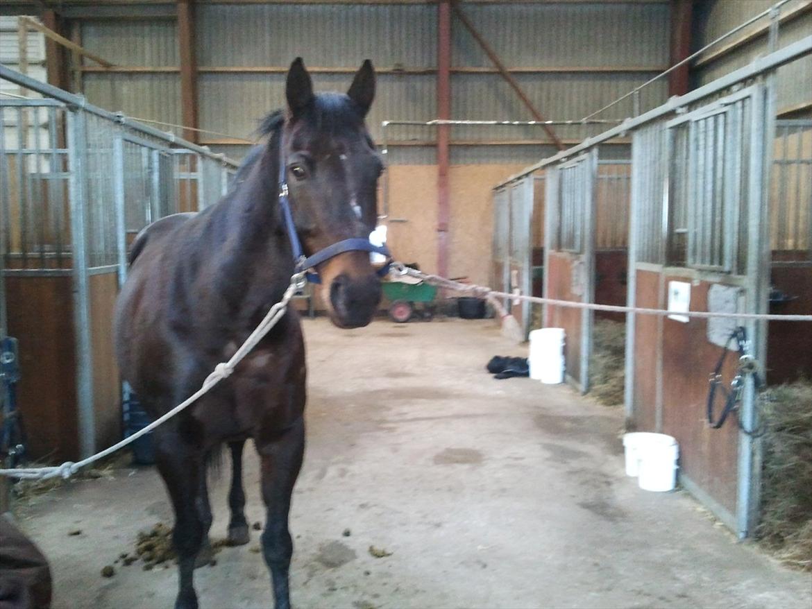 Traver Missey <3 billede 9