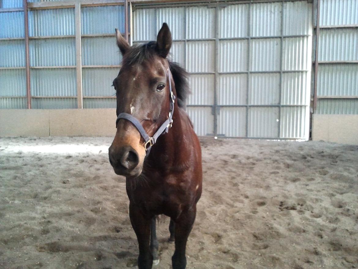 Traver Missey <3 billede 10