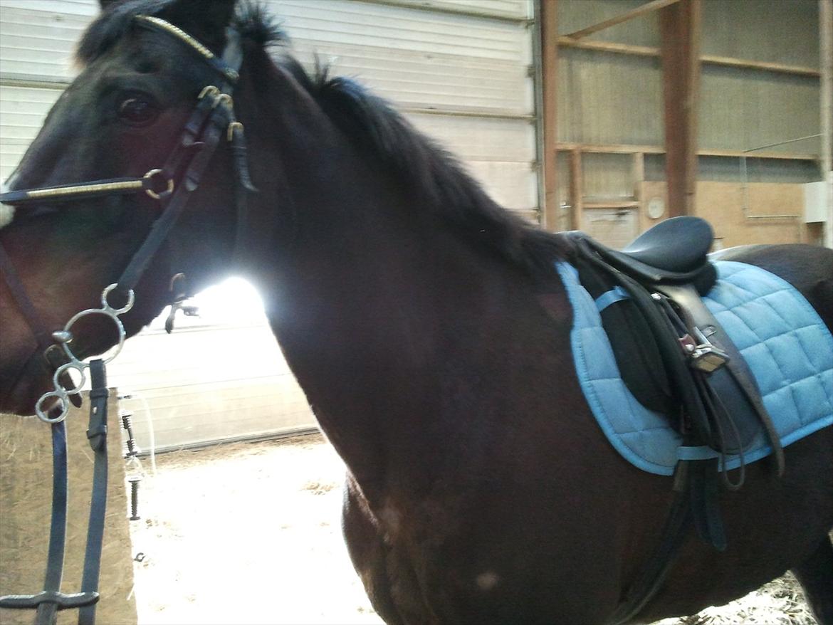 Traver Missey <3 billede 11