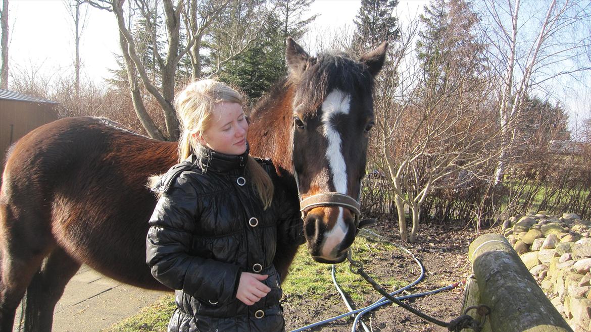 Anden særlig race Pluto - Velkommen til Plutos profil :) ! billede 1