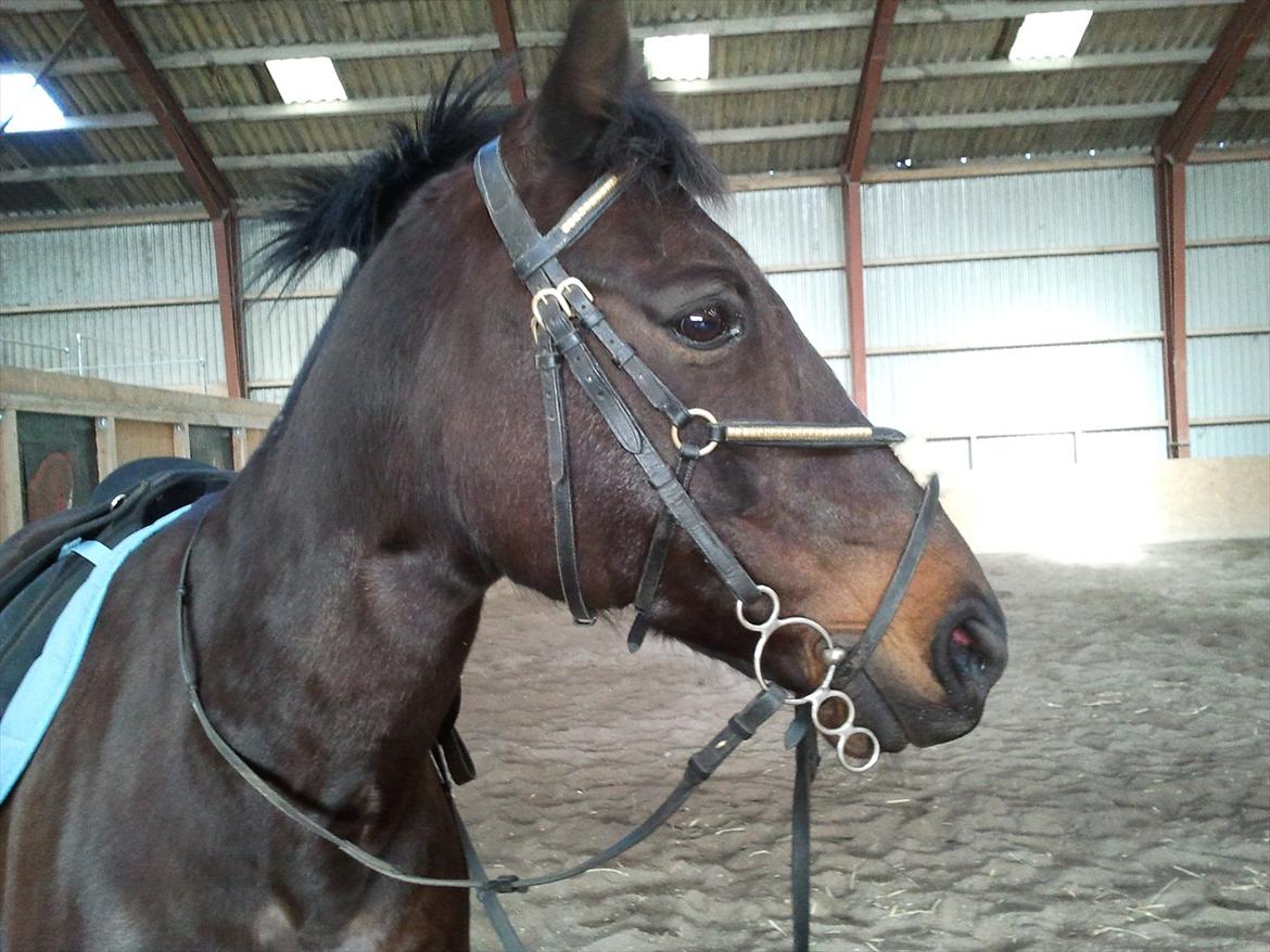 Traver Missey <3 billede 17