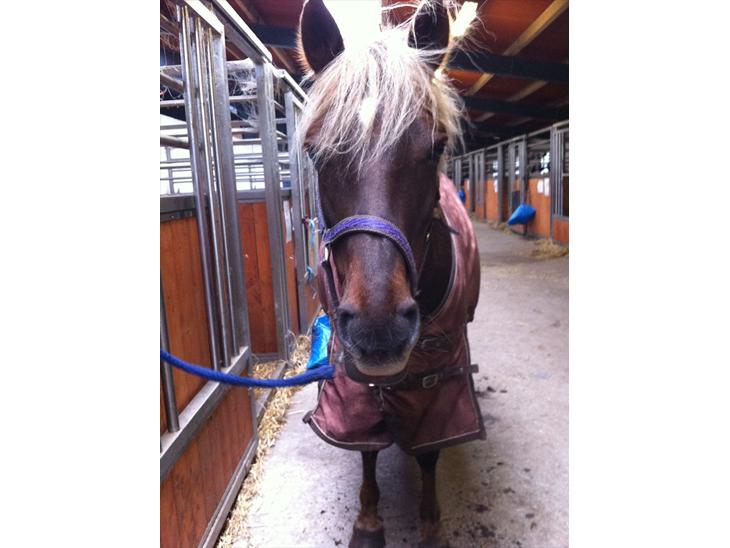 {{currentPhoto.altText}} billede {{currentPhoto.number}}