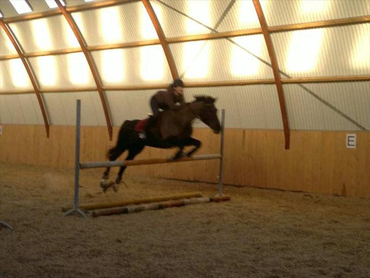 {{currentPhoto.altText}} billede {{currentPhoto.number}}