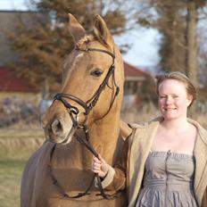 Anden særlig race Dreamhorse's Caf'e Creamy 