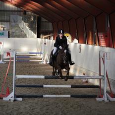 New Forest Hokus Pokus 2