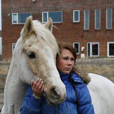 Anden særlig race WILD SECRET. BLINKENDE STJERNE