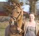 Anden særlig race Dreamhorse's Caf'e Creamy 