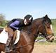 Welsh Pony (sec B) Bjerregårds Mekado