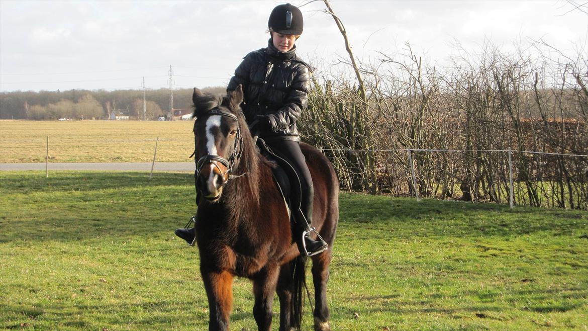 Anden særlig race Pluto - 19/2-12
Første gang jeg sad på Plutten :) billede 4