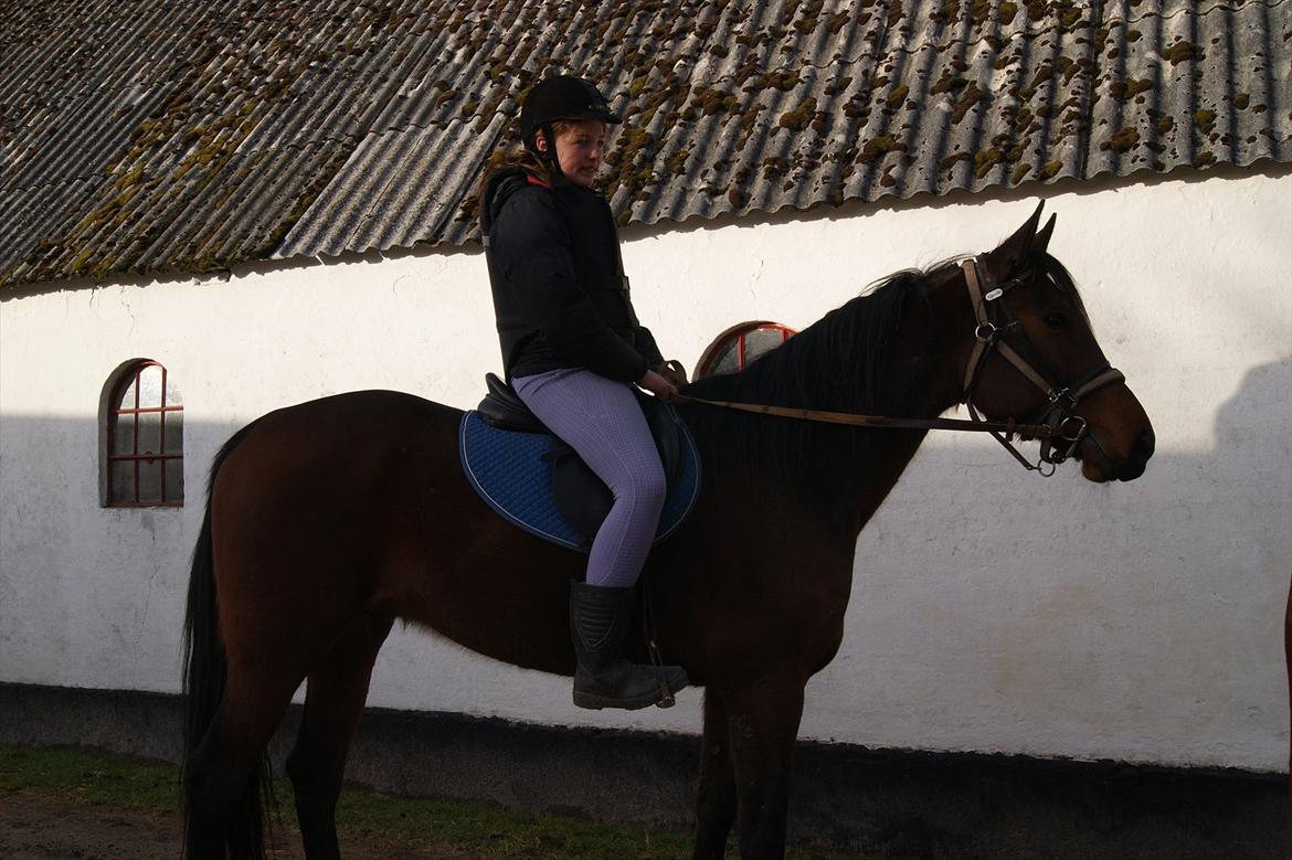 Traver Åhlunda's Edwin <3 - Jeg ser lidt stor ud, men det er jeg altså ikke :-D billede 14