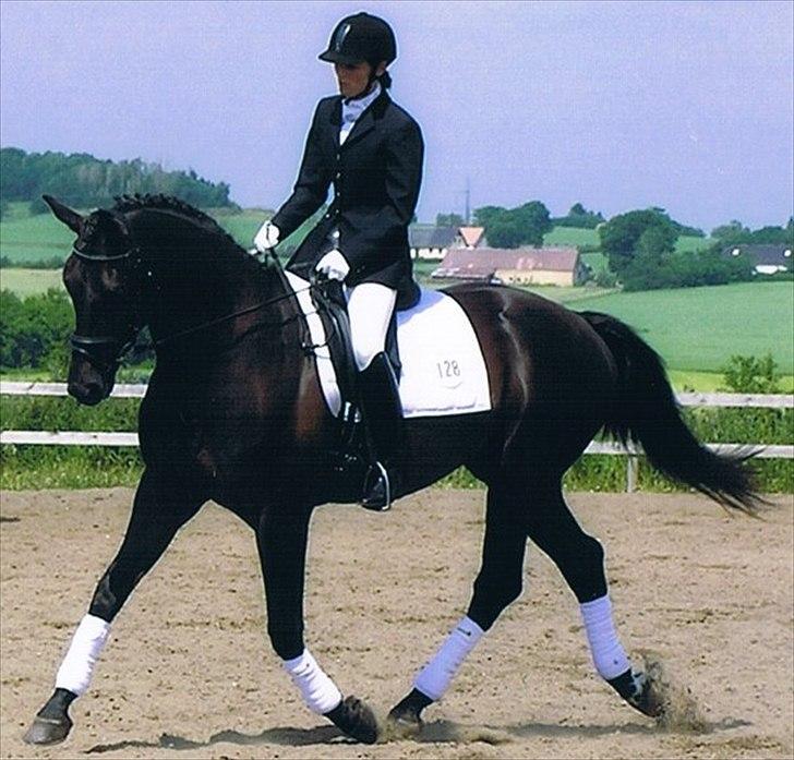 Hannoveraner Maskot - Maskot med hans ejer i en LA 4 til 69,2 % billede 5