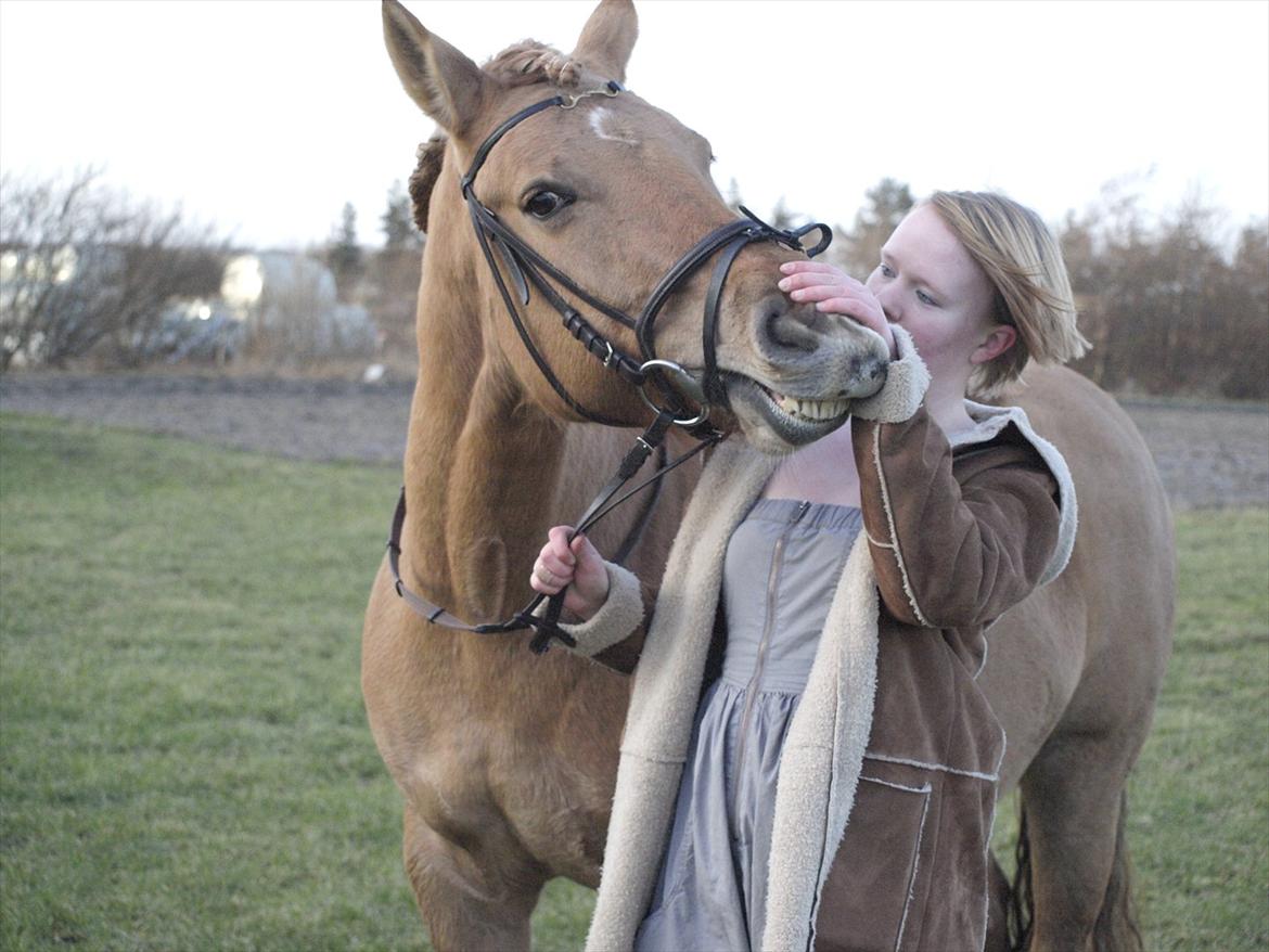 Anden særlig race Dreamhorse's Caf'e Creamy  - Fotograf Pernille Kjærgaard  billede 20