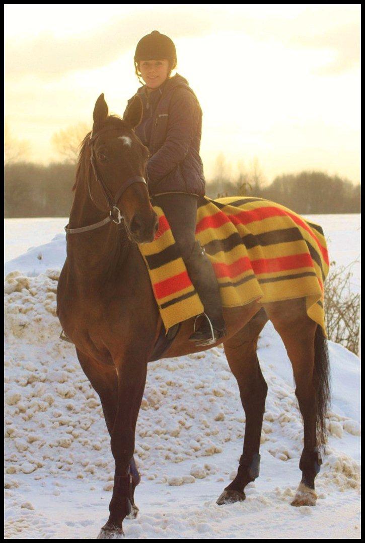 Dansk Varmblod Bjerglunds Sunlight - [d. 24/12 10] Efter ponygames på juleaftensdag billede 6