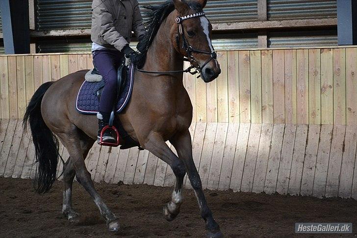 Anden særlig race Ferrari - 	
Kærlighed er, at give en anden person magten til at ødelægge dig fuldstændig, men samtidig stole på at personen aldrig ville gøre det mod dig
 billede 7
