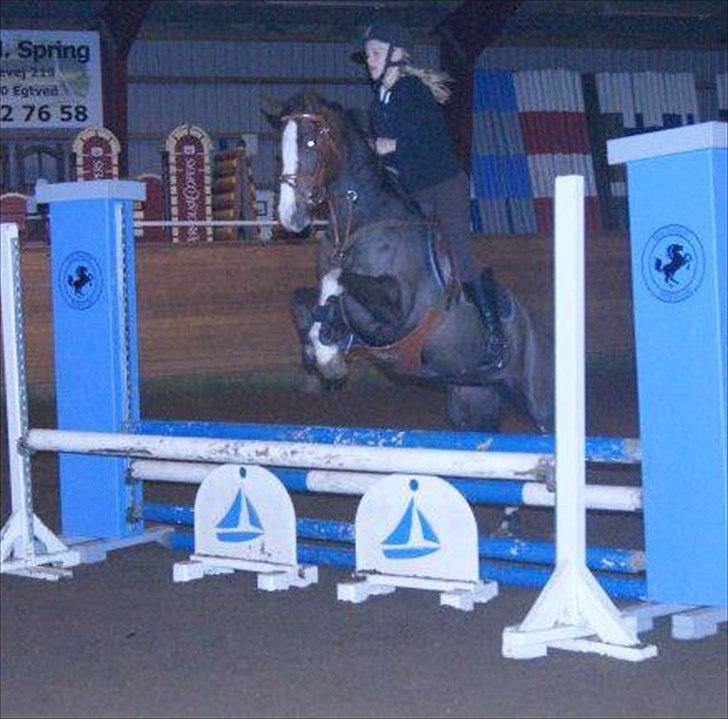 DSP La Rosa <3 billede 6