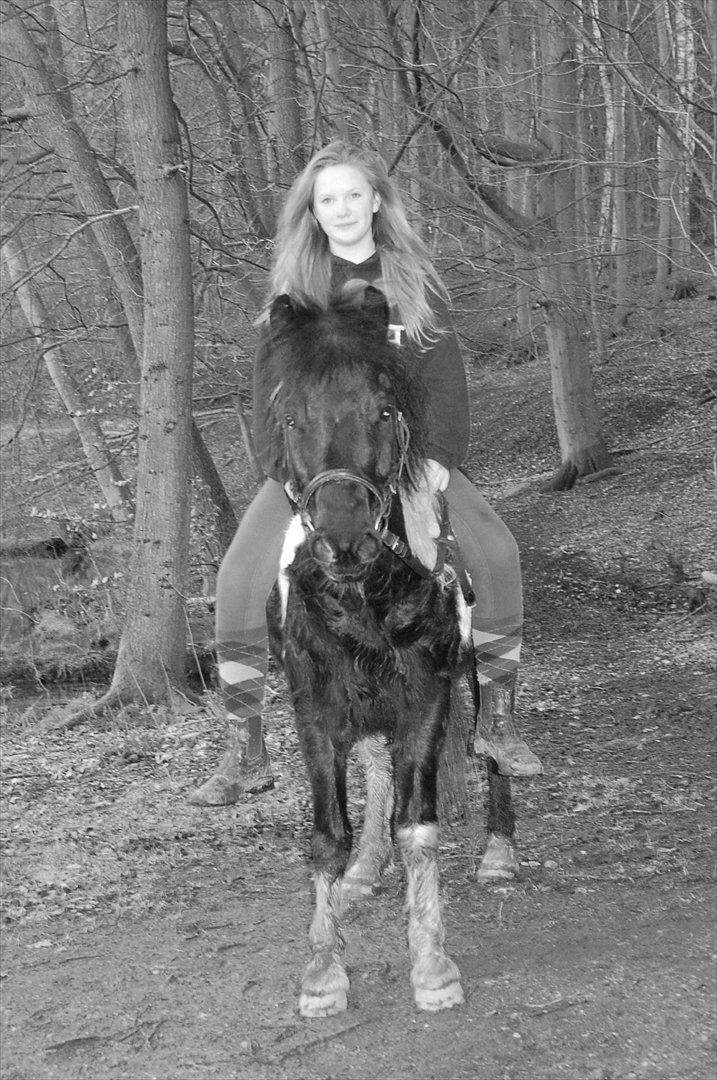 Pinto Lillefyr Part:-) billede 17