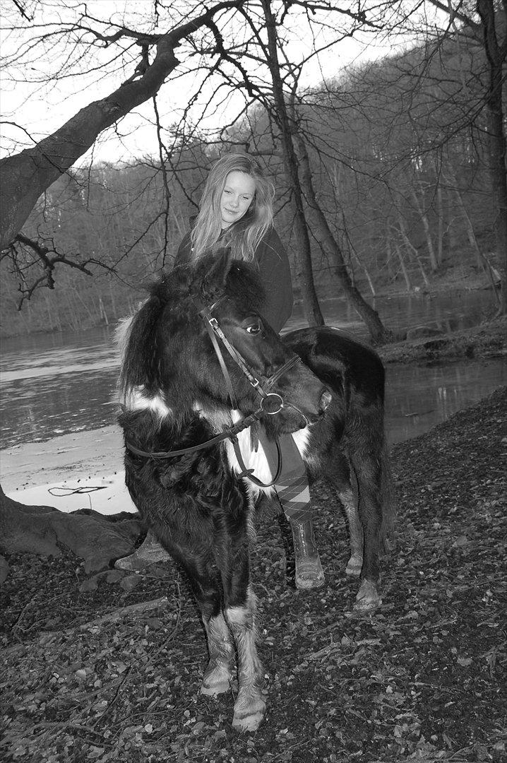 Pinto Lillefyr Part:-) billede 18