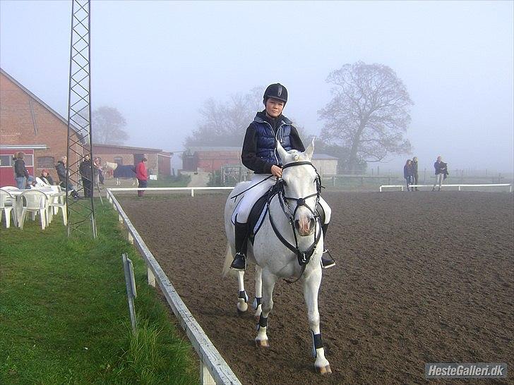Anden særlig race Timian billede 6