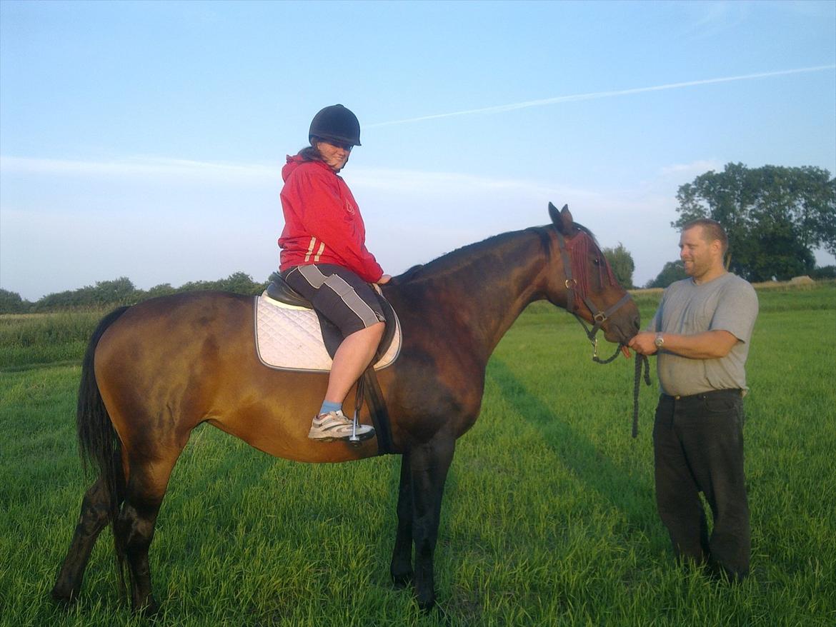 Dansk Varmblod Aqua billede 14