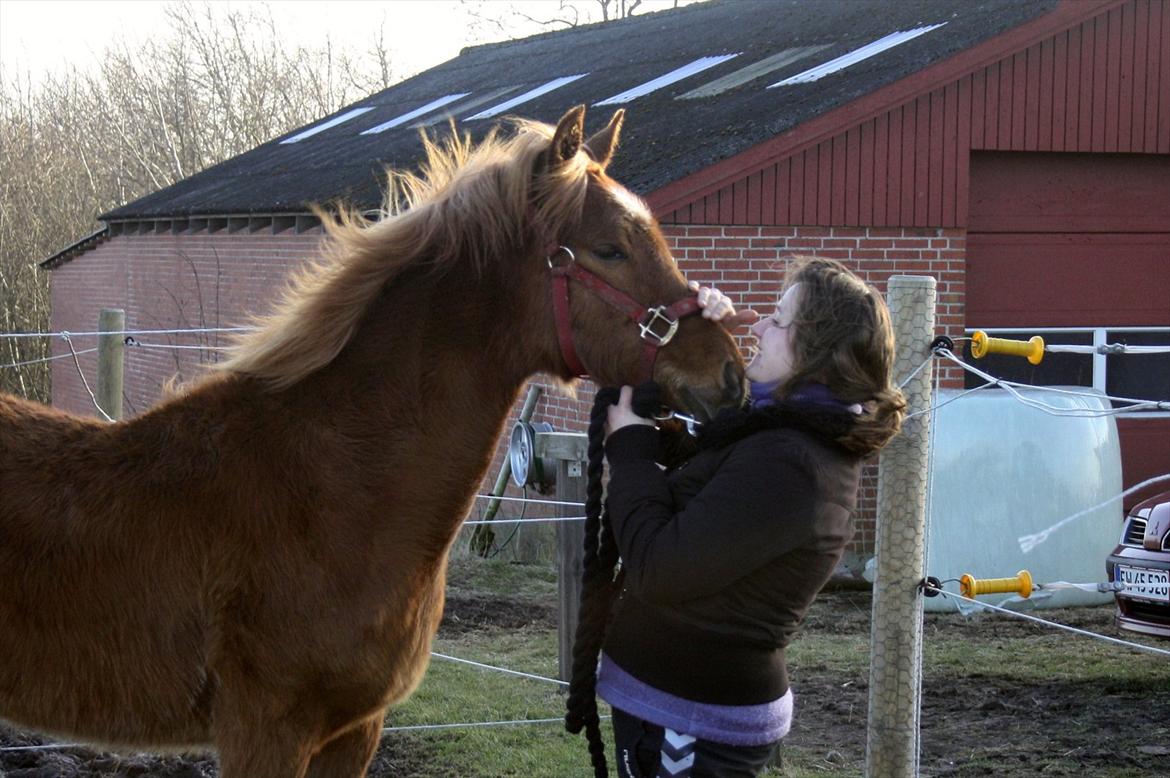 Anden særlig race Wisdoms Ameera ''SOLGT* - Wisdoms Ameera & jeg 
den 24/2-2012
Foto : Rebecca Jakobsen billede 3