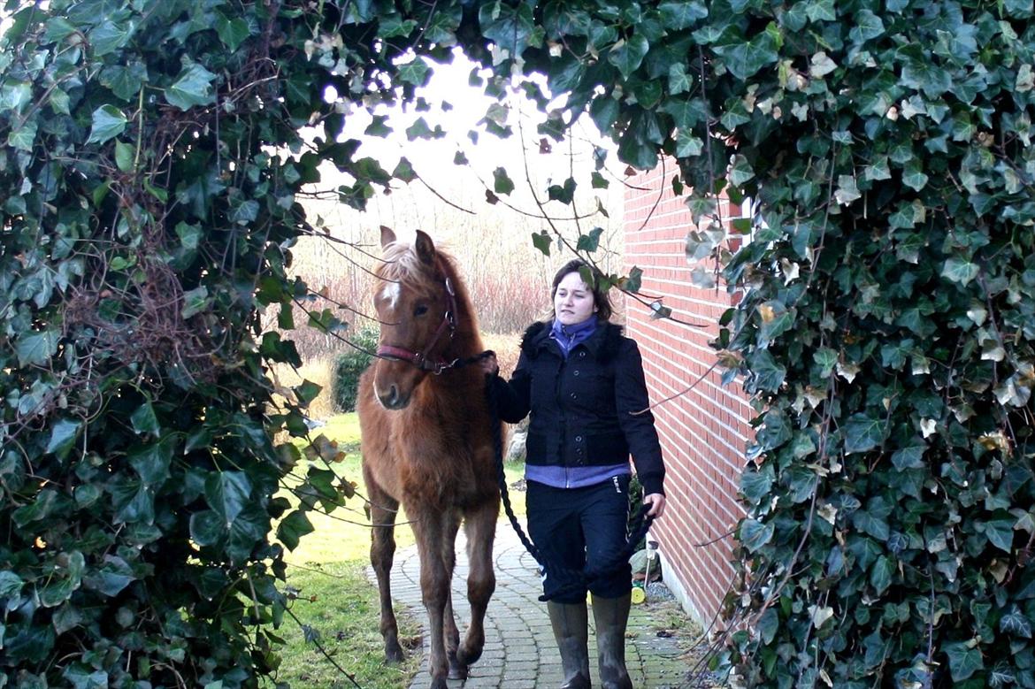 Anden særlig race Wisdoms Ameera ''SOLGT* - Wisdoms Ameera & Jeg
Foto : Rebecca Jakobsen
Den 24/2-2012 billede 4