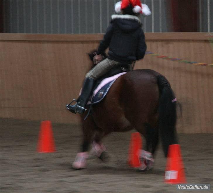 Anden særlig race Freja - PonyGames! Jubii billede 16