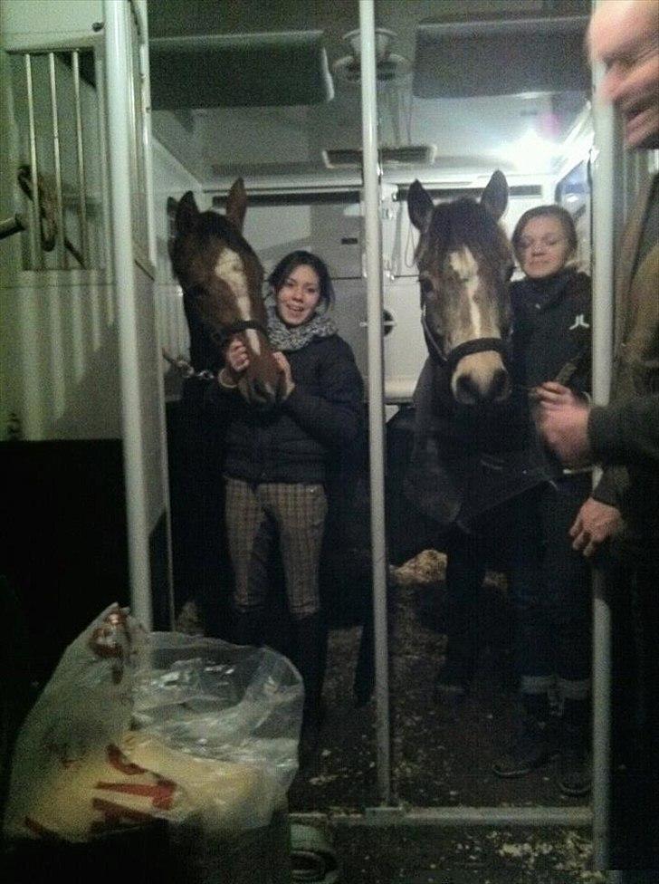 DSP Stald PR's Paula - Mig og Charlie(mias pony) Og mia og Paula:-D(paula er min ponz:P) Foto Min storebror:-D overvej lige hvor lille Paula hoved er i forhold til Charlies:P  billede 6
