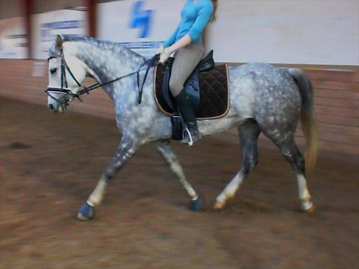 DSP Geiser Sarai billede 19