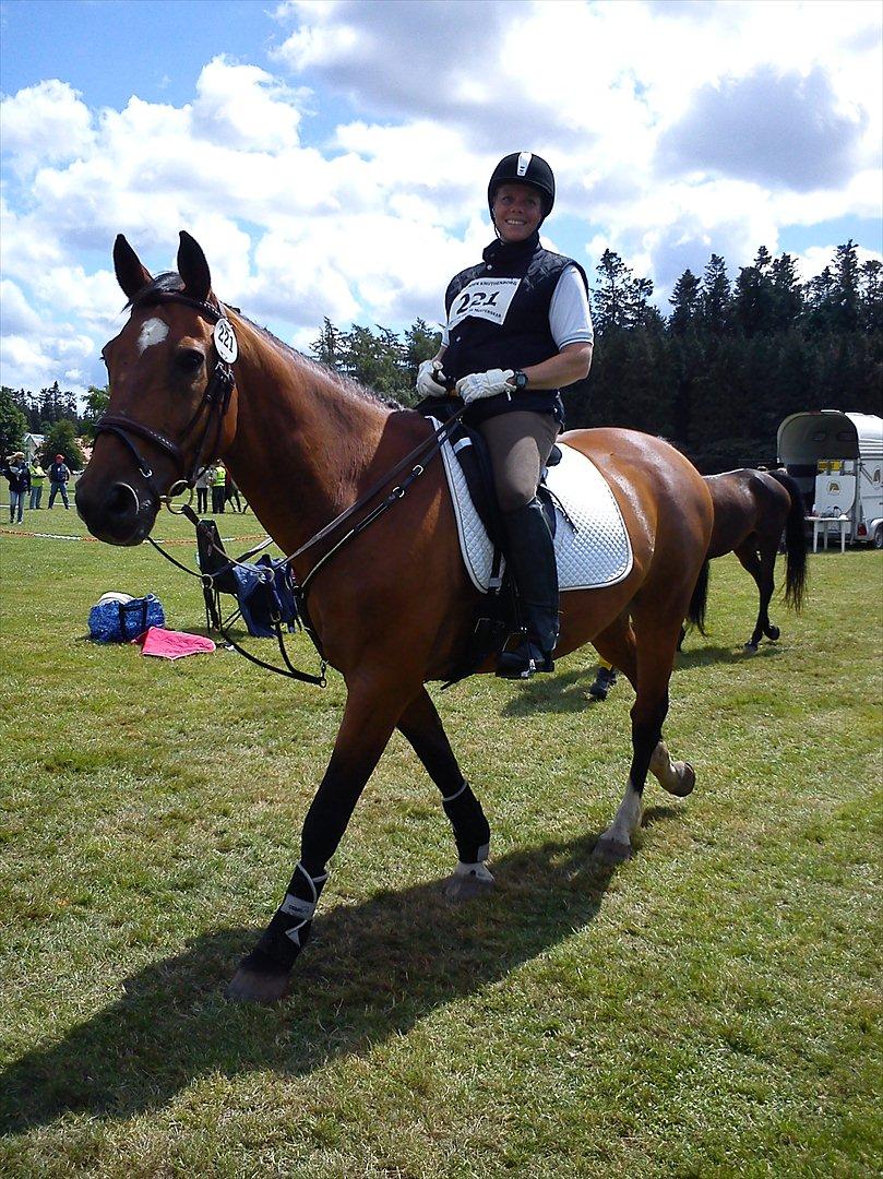 Dansk Varmblod Robin - Så er vi lige ved at være klar til at starte :D billede 5