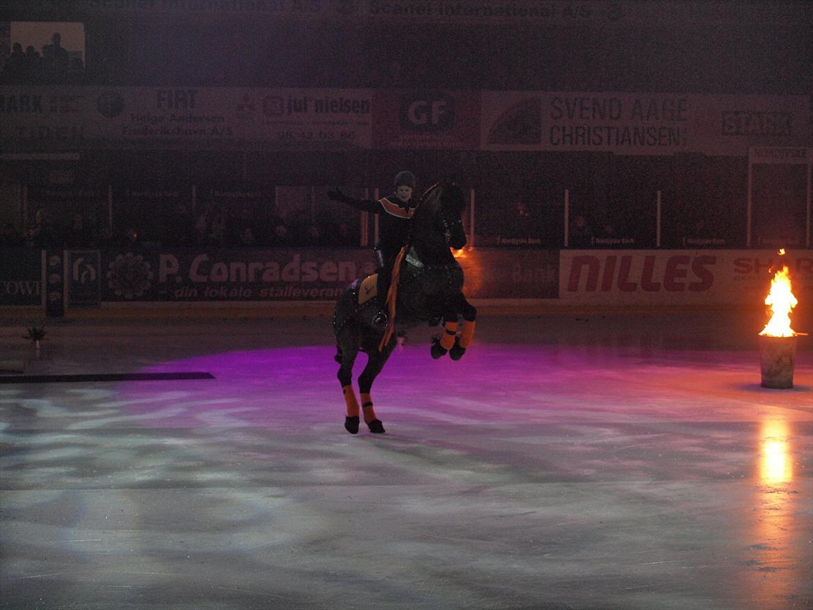 Frieser Jelmer fan de Adelvej - Show til istölt 2012 i frederikshavn.
Billedet er taget af kanalfrederikshavn.dk og venligst udlånt af dem. billede 13