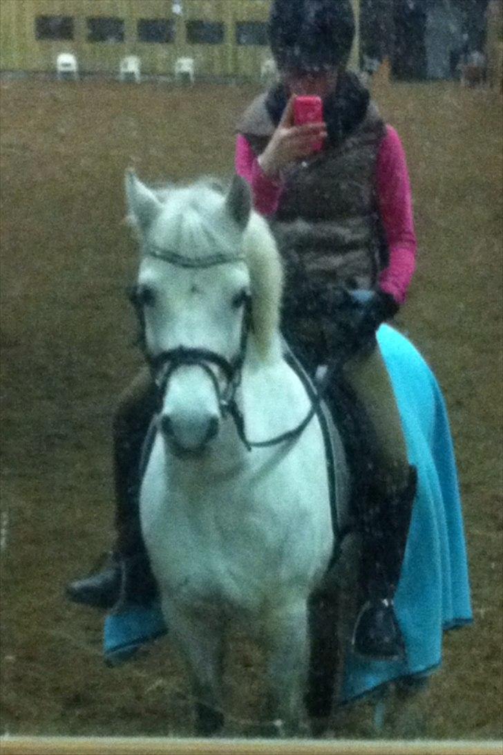 Anden særlig race Bandit "den elskede" :D <3 - Billed 18. Bandit jeg skal ikke sætte ord på hvor meget jeg holder af dig! <3 billede 18