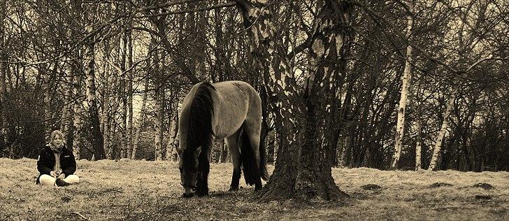 Anden særlig race Kava Spirit Trøffelhelt billede 20
