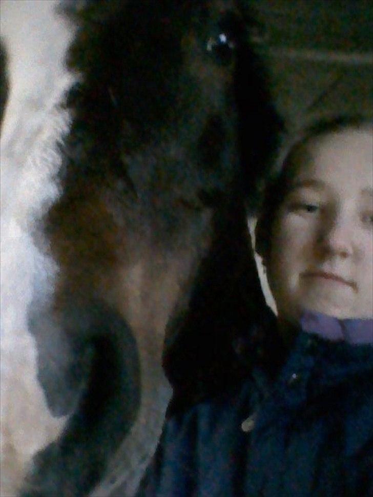 Anden særlig race Chance {Himmelhest} billede 13