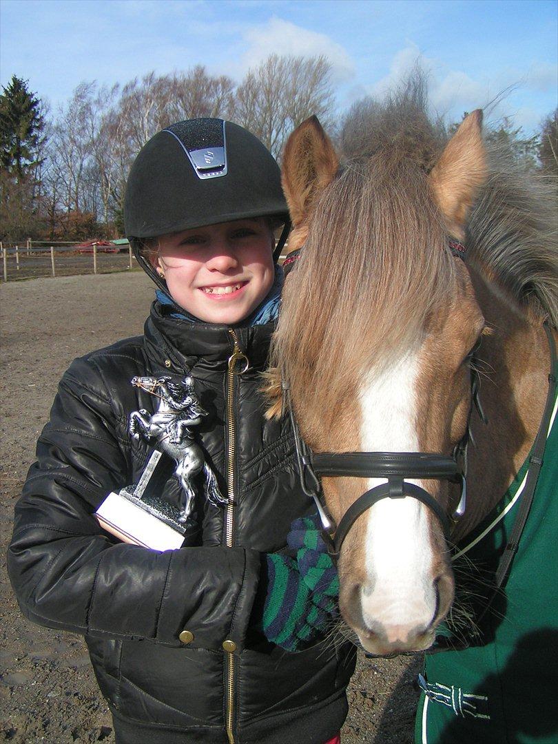 Welsh Pony (sec B) Faya Lobi Kasto-Glas 2002 *STJERNE PONY* - :') billede 14