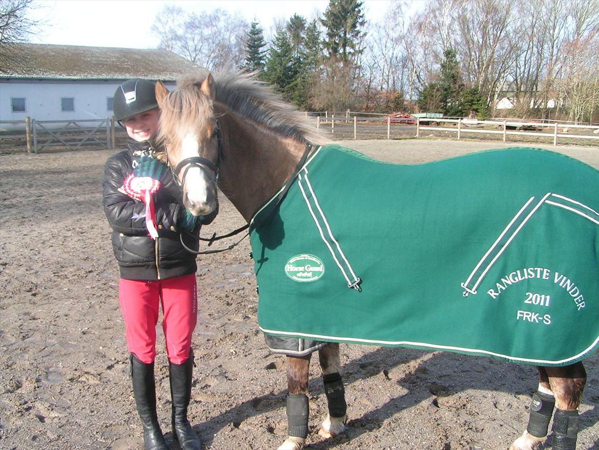 Welsh Pony (sec B) Faya Lobi Kasto-Glas 2002 *STJERNE PONY* - rangliste vinder i min klub frks for 3. år i træk, pokal, dækken og roset :) billede 16