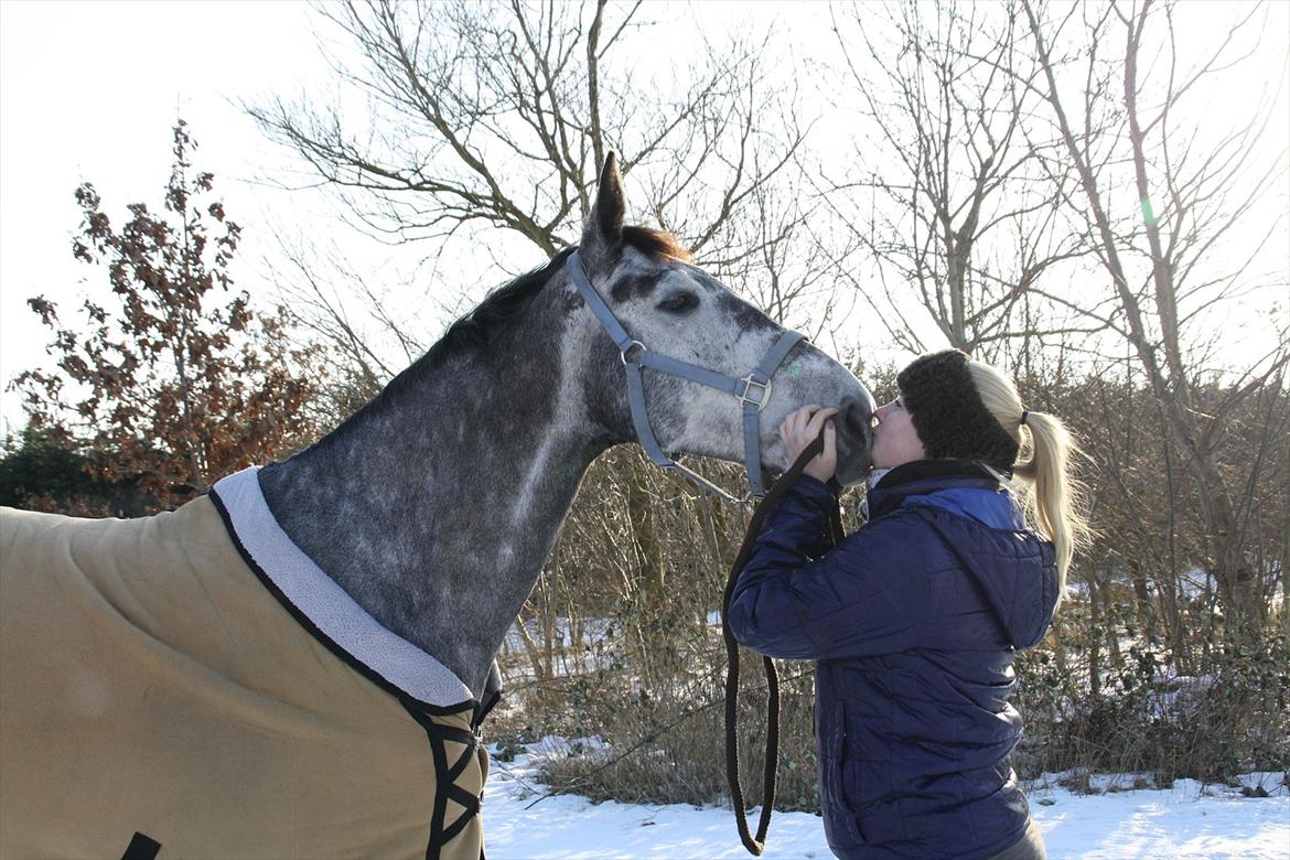 Holstener Castinè - 10.02.12 billede 9