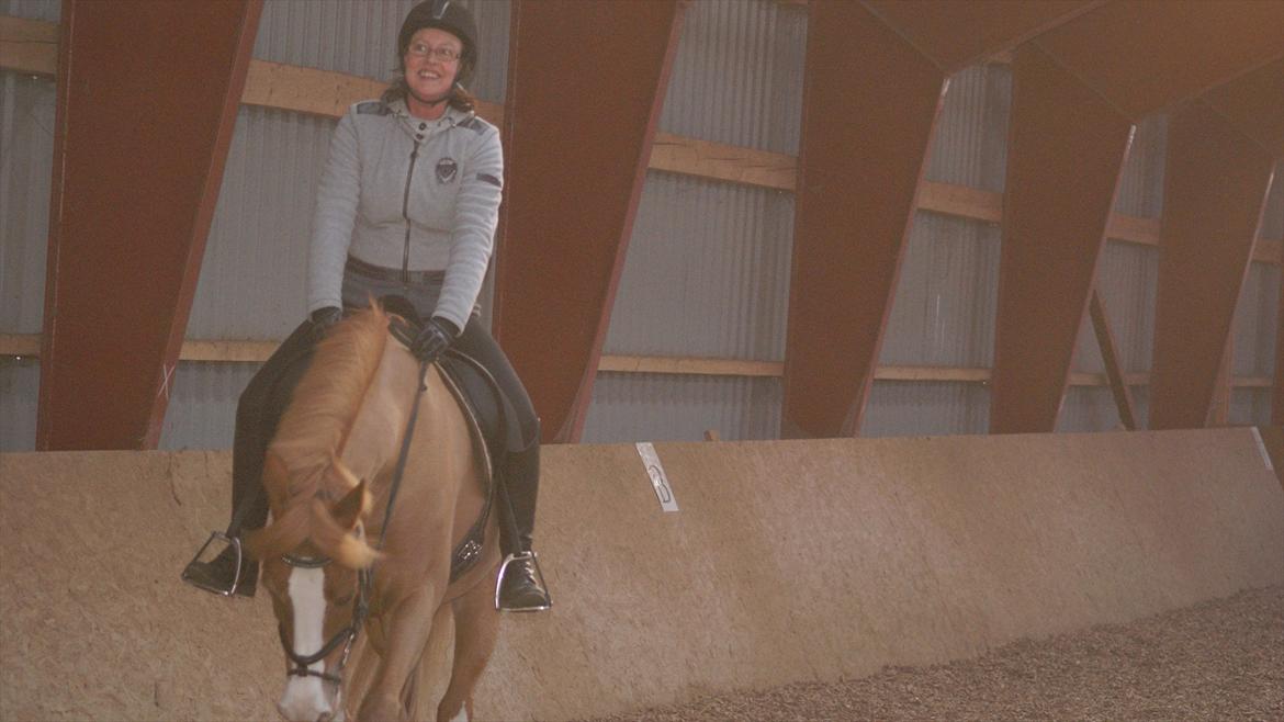 Tysk Sportspony Penny Lane billede 14