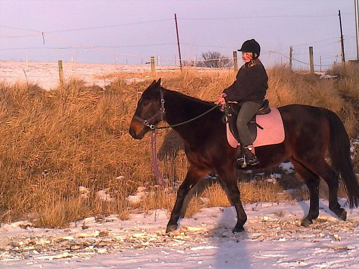 Traver Harley r.i.p min skat - første gang på dig <3<3<3 billede 12