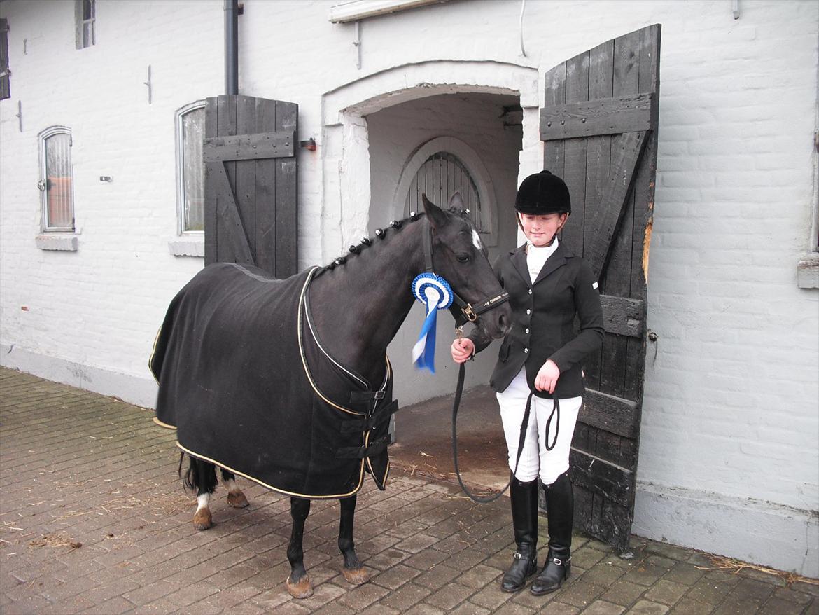 Anden særlig race Maccoya  billede 3