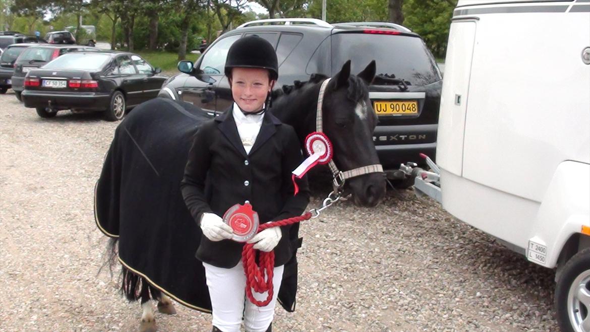 Anden særlig race Maccoya  billede 7