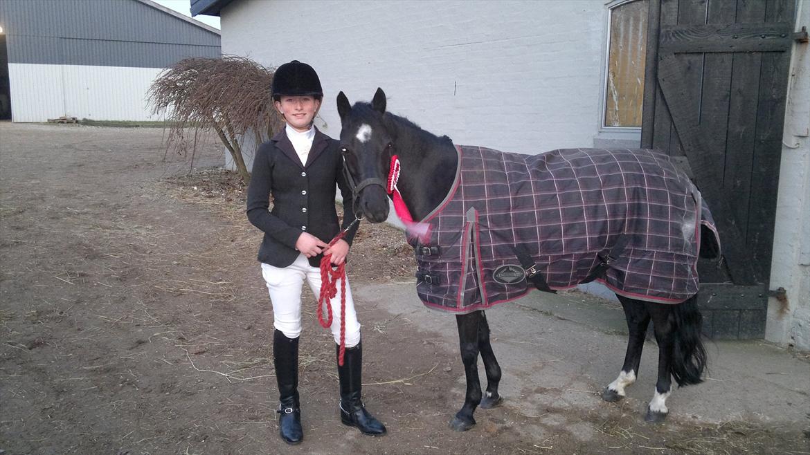 Anden særlig race Maccoya  billede 8