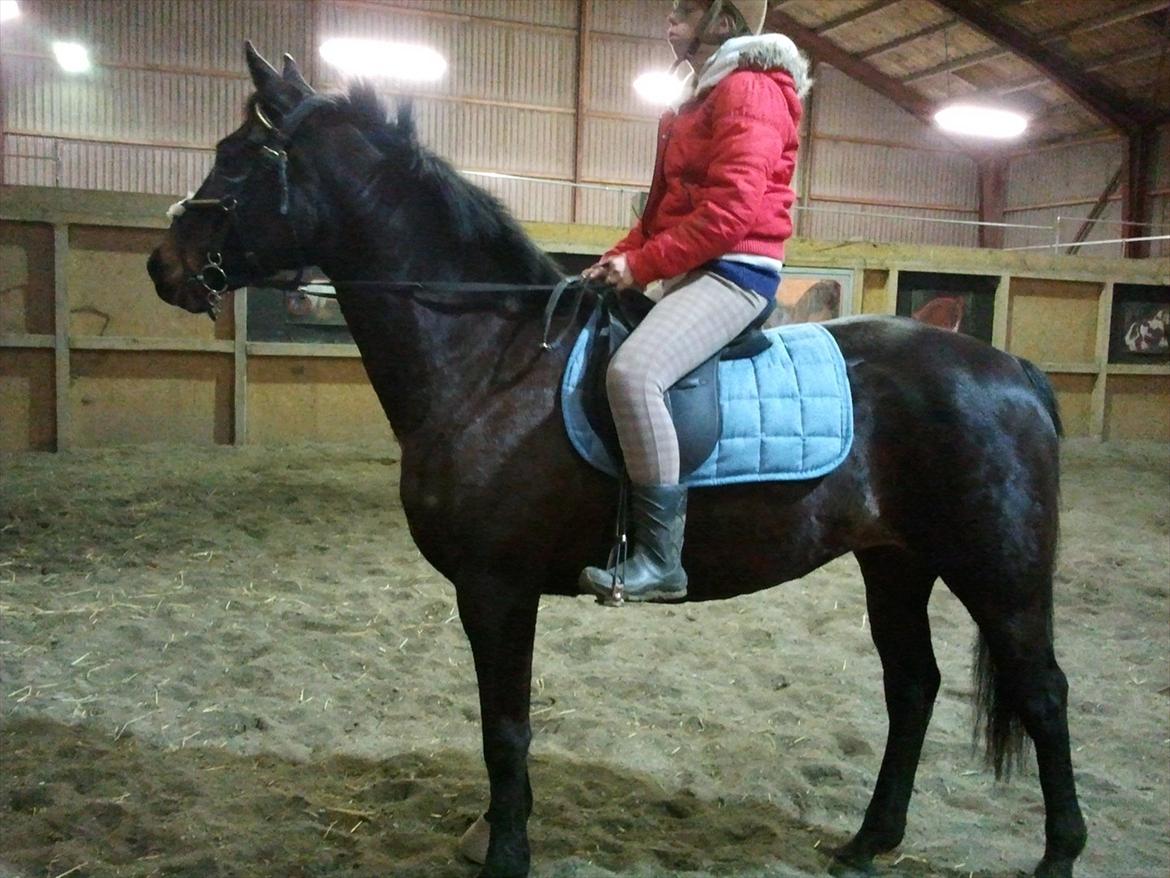 Traver Missey <3 billede 19