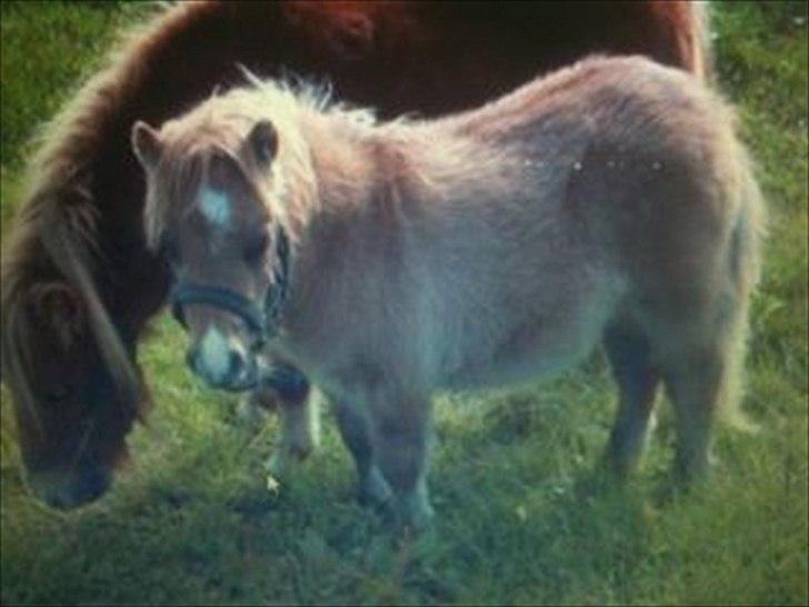 Anden særlig race Pretty One - mit nyeste billede af pretty billede 8