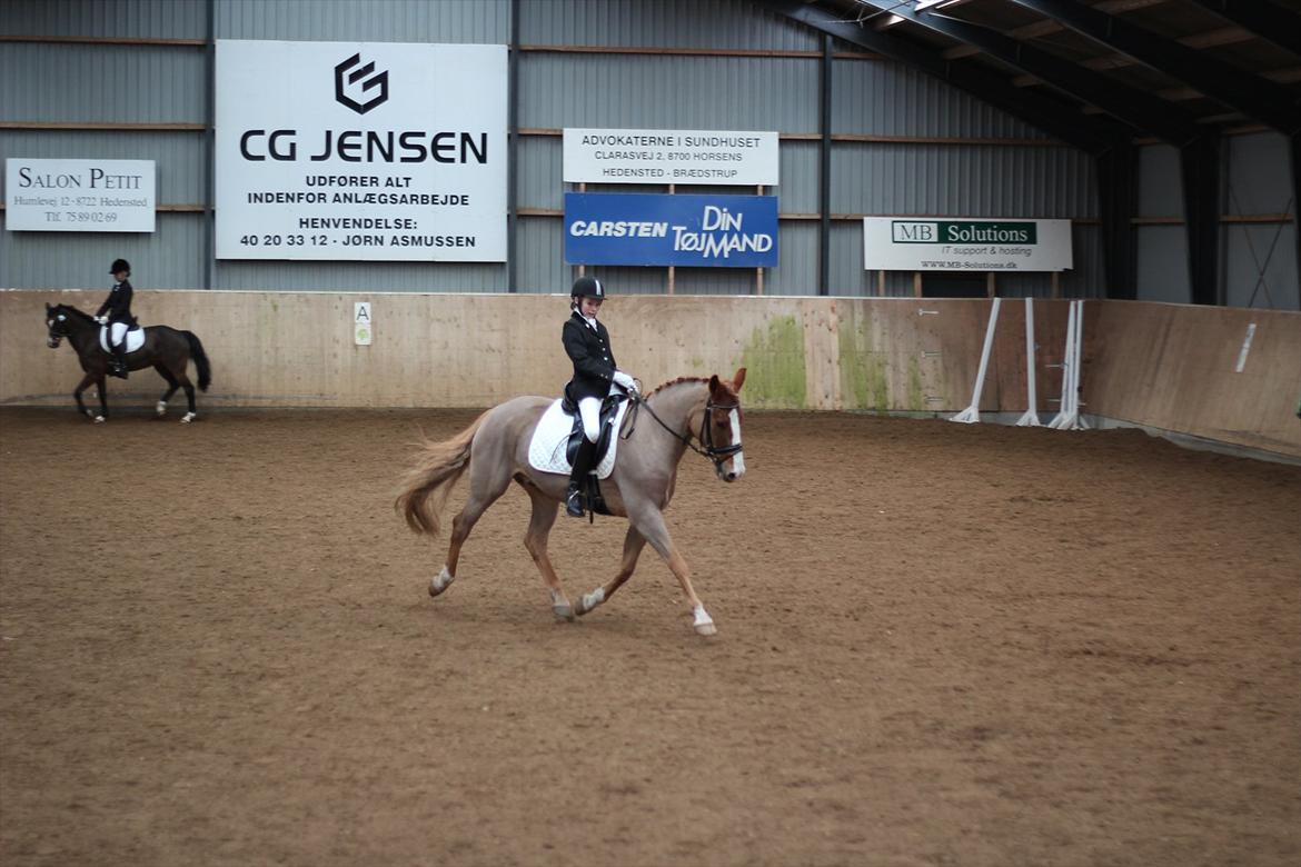 DSP Foxtrot - Øgning på opvarmningsbanen :-) billede 13