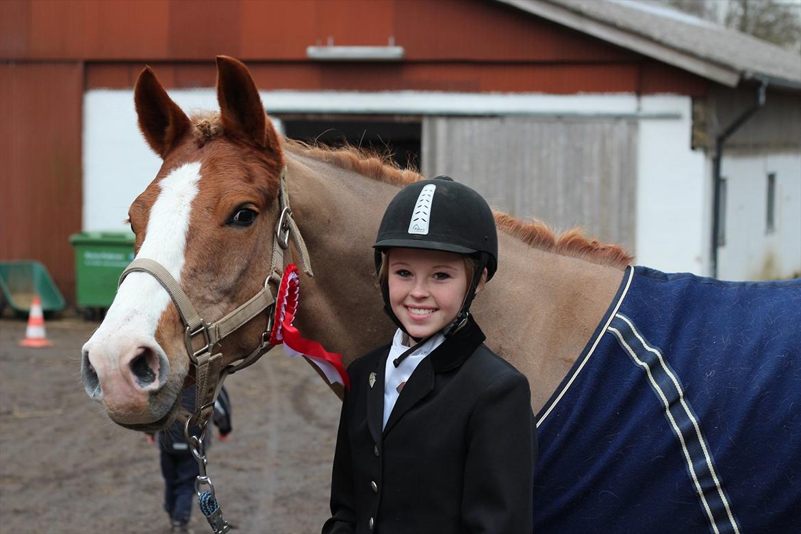 DSP Foxtrot - En glad hest og rytter med en rød sløjfe :-) billede 12