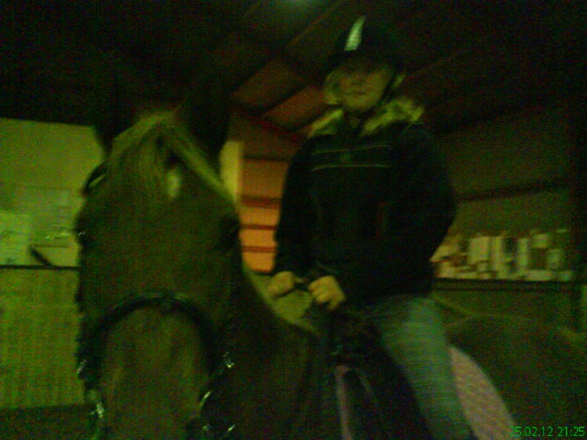 Arabisk fuldblod (OX) Zakiyah El Azraff - Første gang hun har rytter på! billede 10