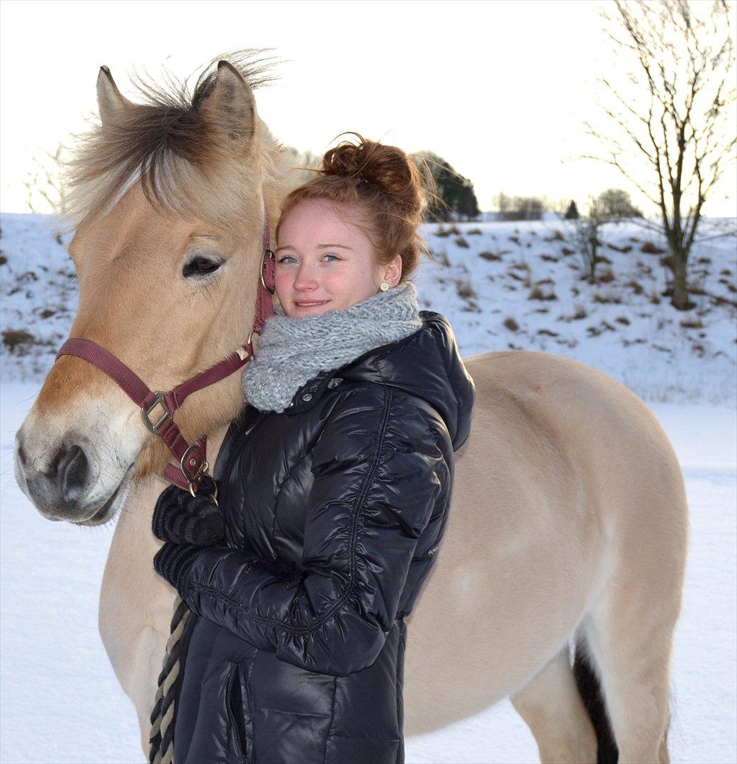 Fjordhest Faldborgs Sofie  - Januar 2012 :-) billede 18