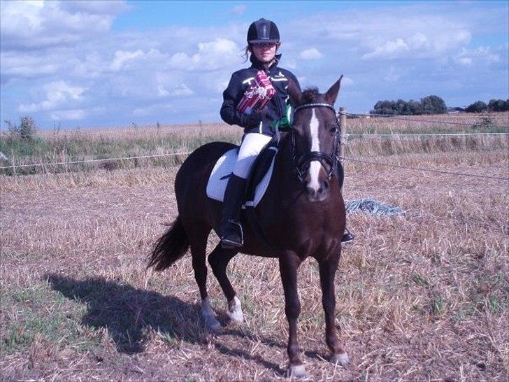 Anden særlig race Duchess - ringridning 2008 ;) billede 9