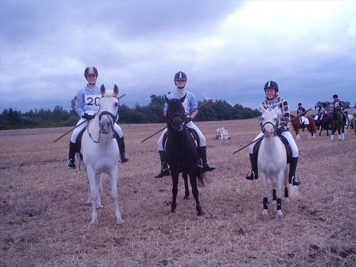 Anden særlig race Speedy - afleveret  tilbage -  - Royal - Speedy - Annabell  :) billede 7