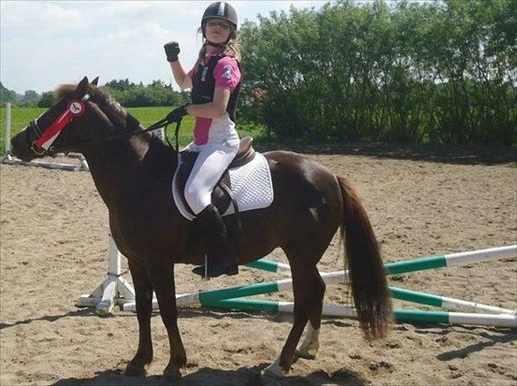 Anden særlig race Duchess - Første springstævne sammen, fin førsteplads :) billede 10